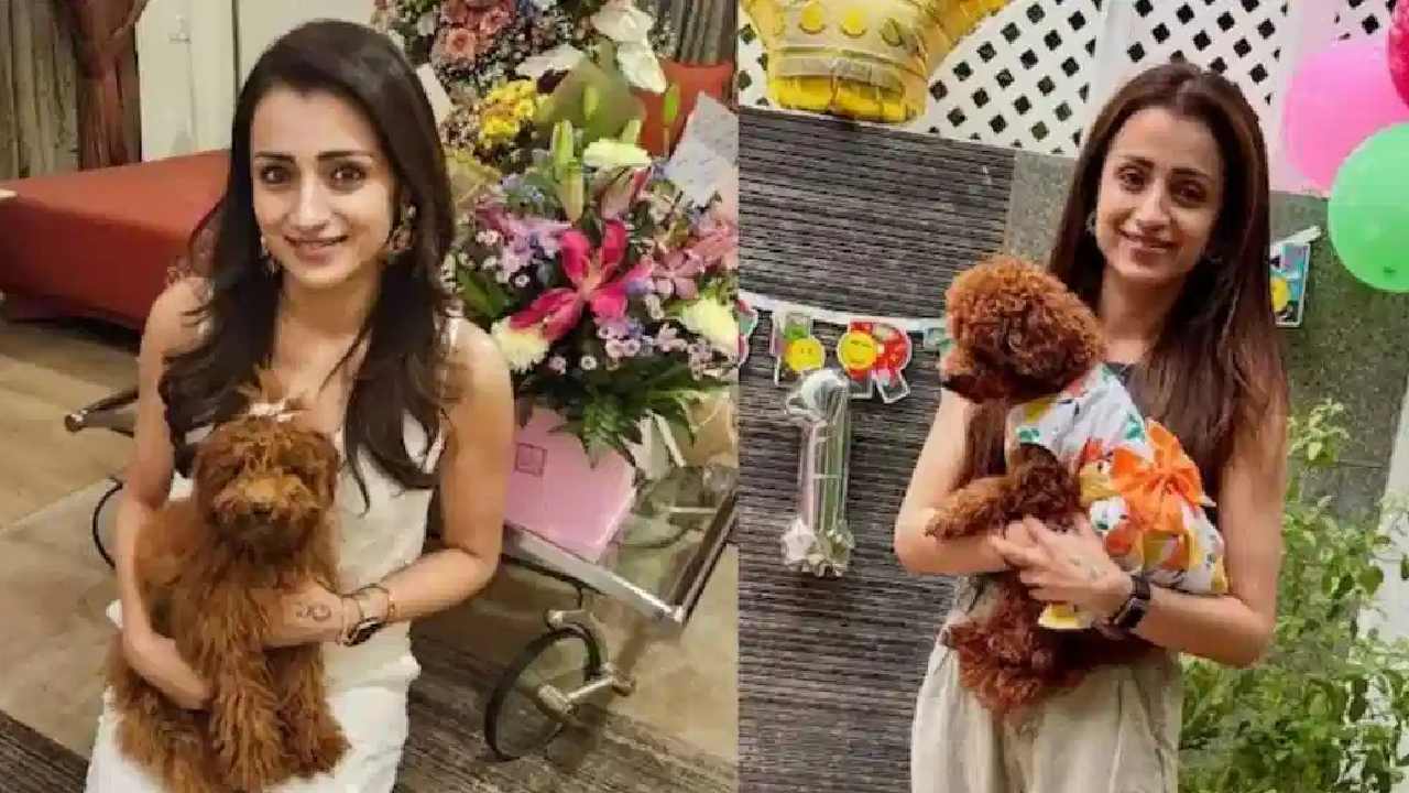 చెన్నైలో రూ.10 కోట్ల ఇల్లు.. త్రిష ఆస్తుల చిట్టా ఇదిగో