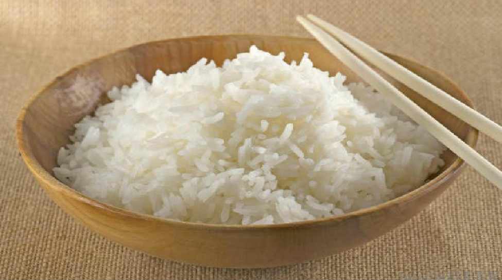 White Rice Digestion